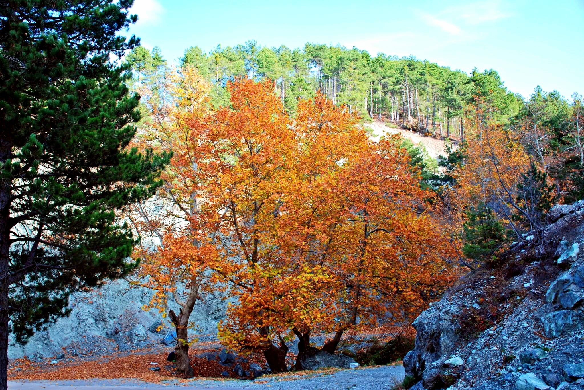 Osmaniye Amanos Dağları Çataloluk’ta Doğa Harikası Keşfi4