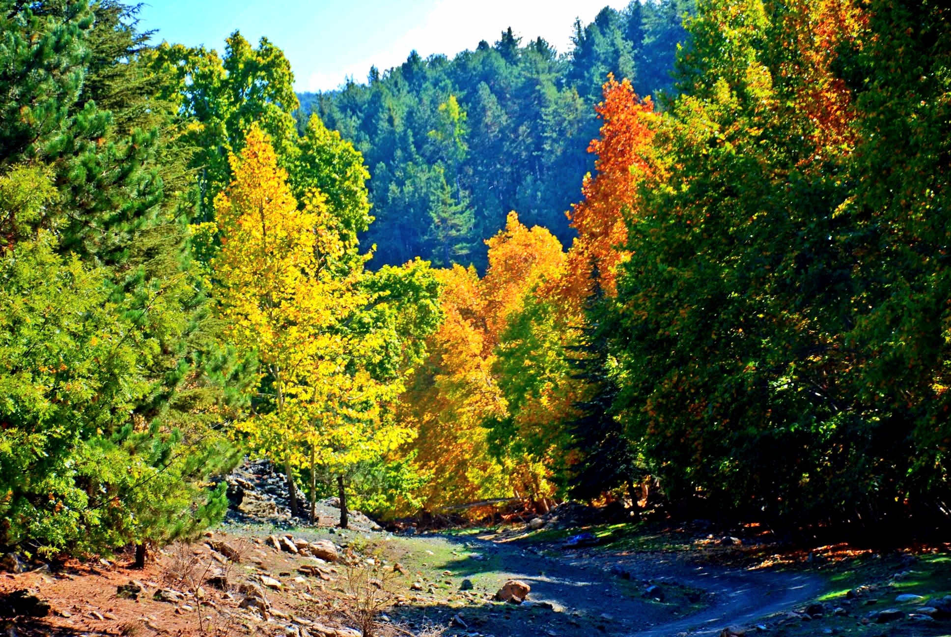 Osmaniye Amanos Dağları Gürdük’te Sonbahar Renkleri11