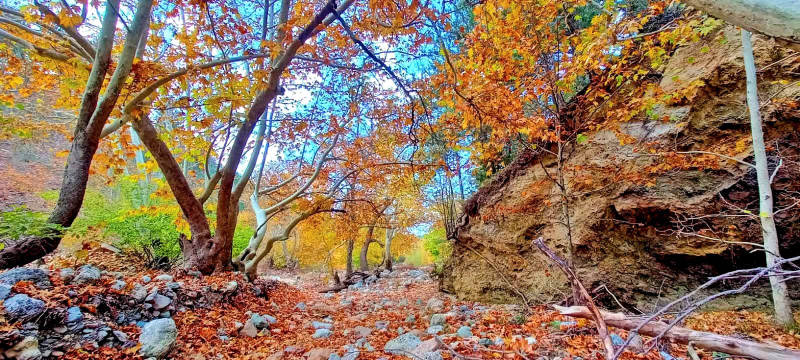 Osmaniye Amanos Dağları Gürdük’te Sonbahar Renkleri2