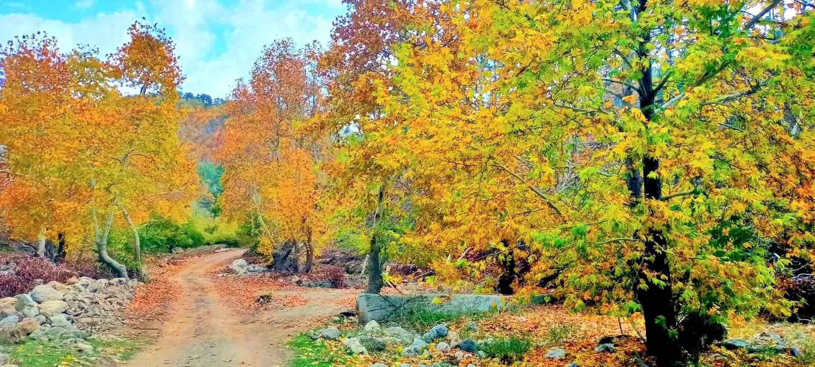 Osmaniye Amanos Dağları Gürdük’te Sonbahar Renkleri3