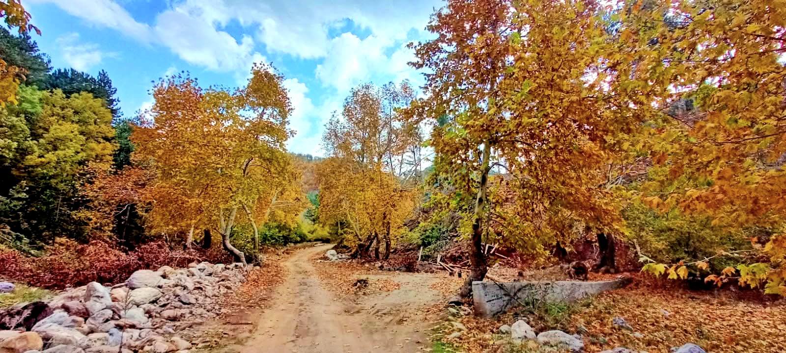 Osmaniye Amanos Dağları Gürdük’te Sonbahar Renkleri4