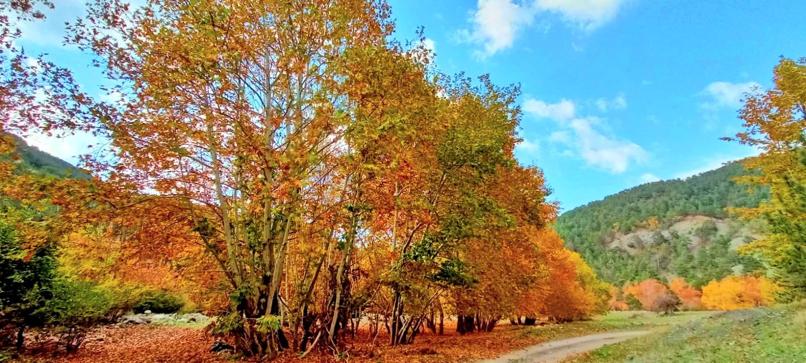 Osmaniye Amanos Dağları Gürdük’te Sonbahar Renkleri5