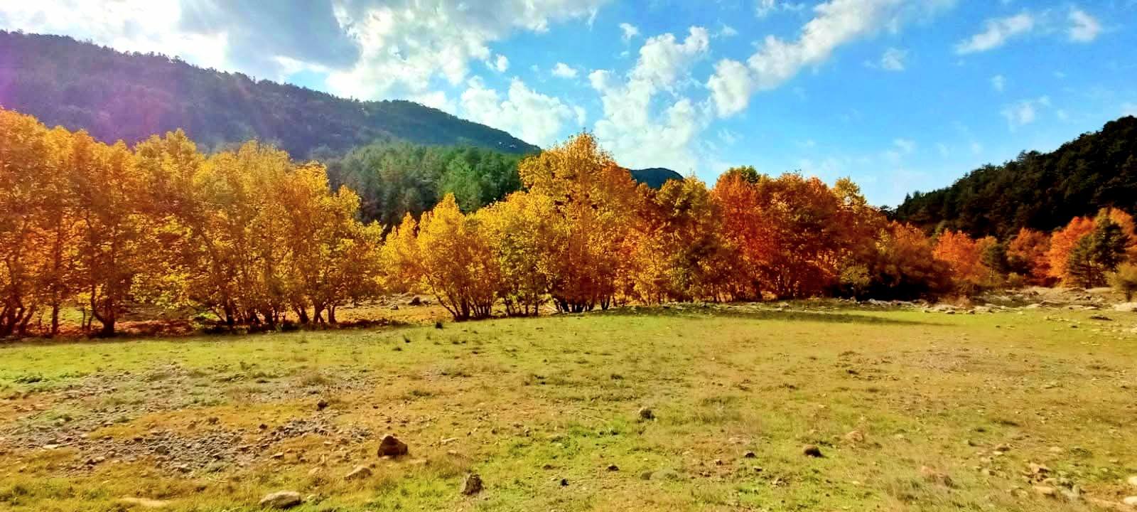 Osmaniye Amanos Dağları Gürdük’te Sonbahar Renkleri6