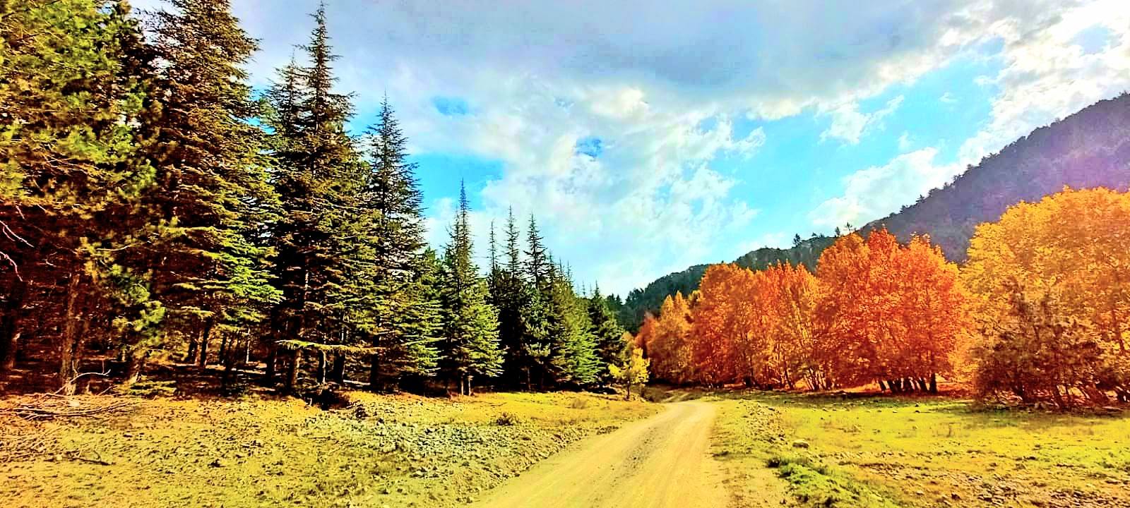 Osmaniye Amanos Dağları Gürdük’te Sonbahar Renkleri7