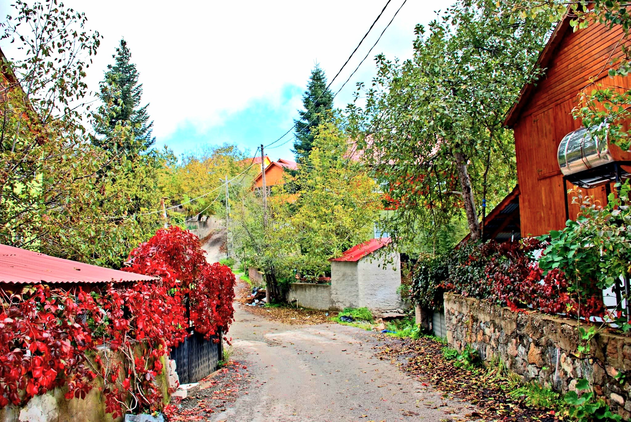 Osmaniye Büyük Küreci Yaylası Sonbaharda Renk Cümbüşü3