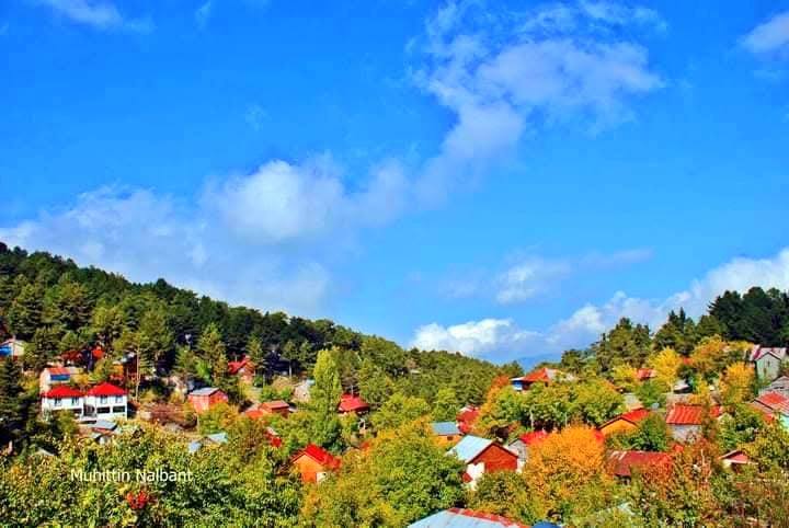 Osmaniye Büyük Küreci Yaylası Sonbaharda Renk Cümbüşü4