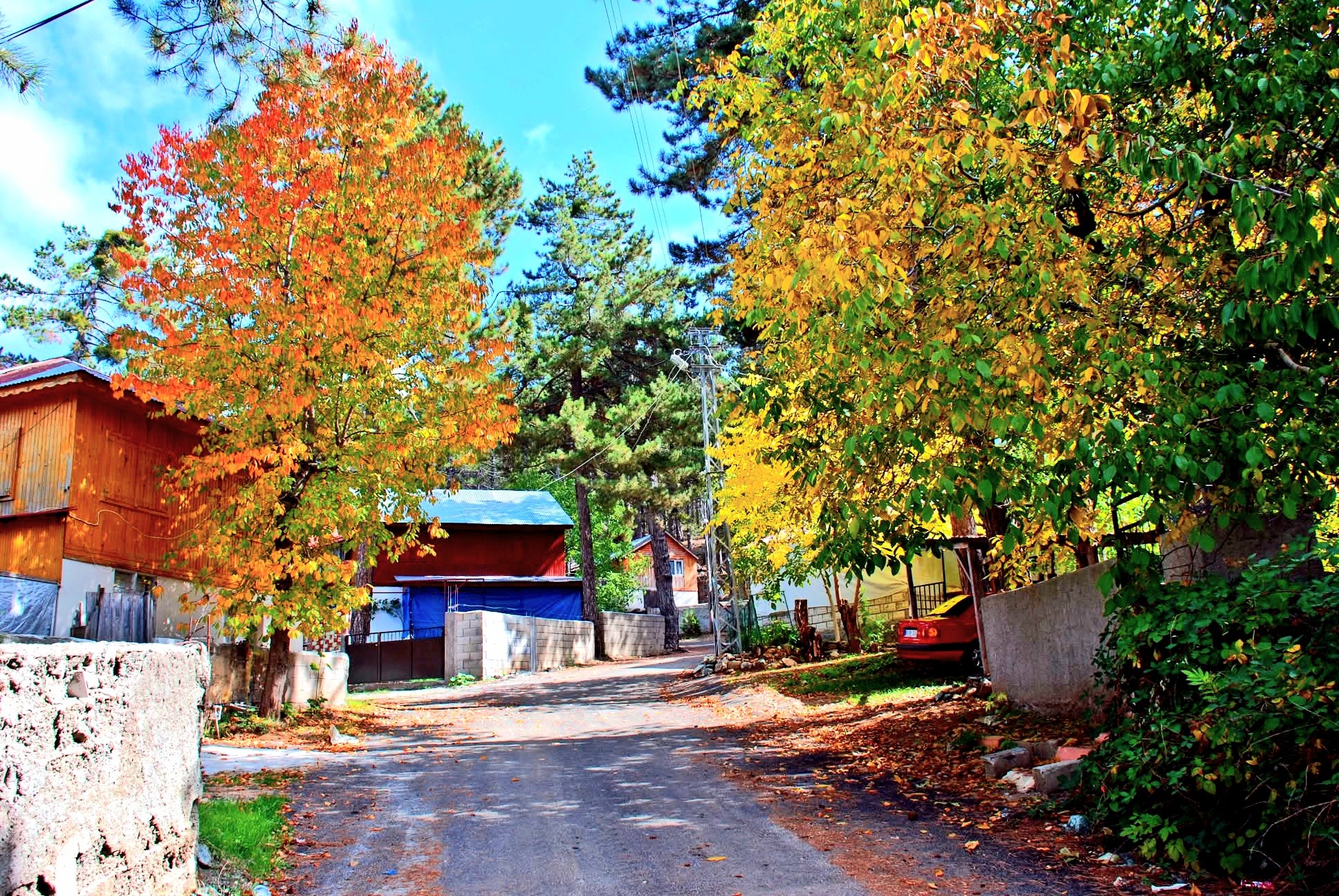 Osmaniye Büyük Küreci Yaylası Sonbaharda Renk Cümbüşü5