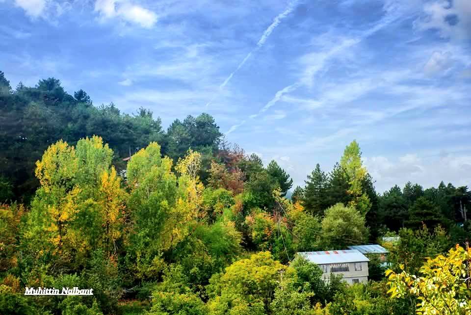 Osmaniye Dervişpınarı Yaylası Doğa Tutkunlarını Bekliyor2