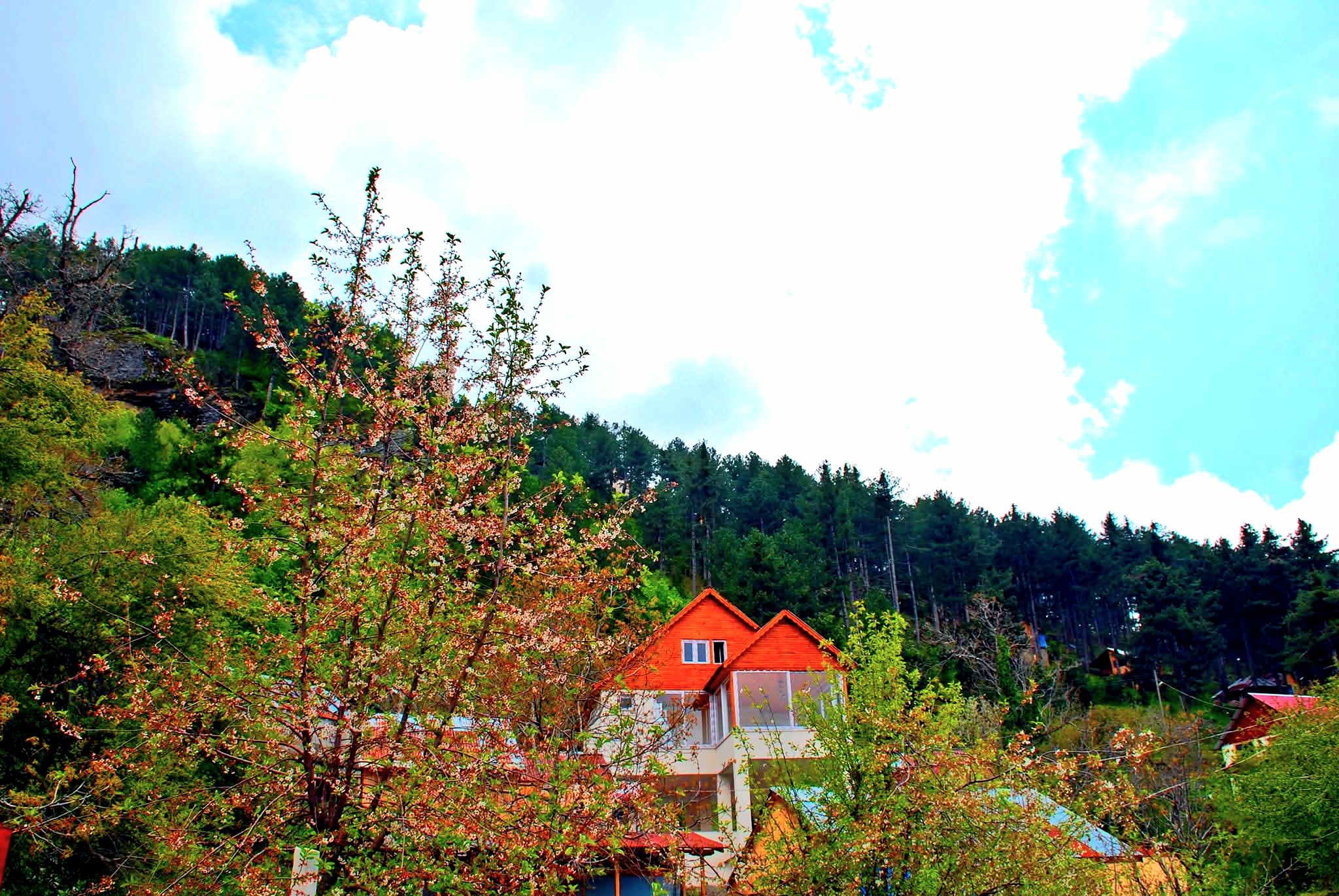 Osmaniye Dervişpınarı Yaylası Doğa Tutkunlarını Bekliyor3