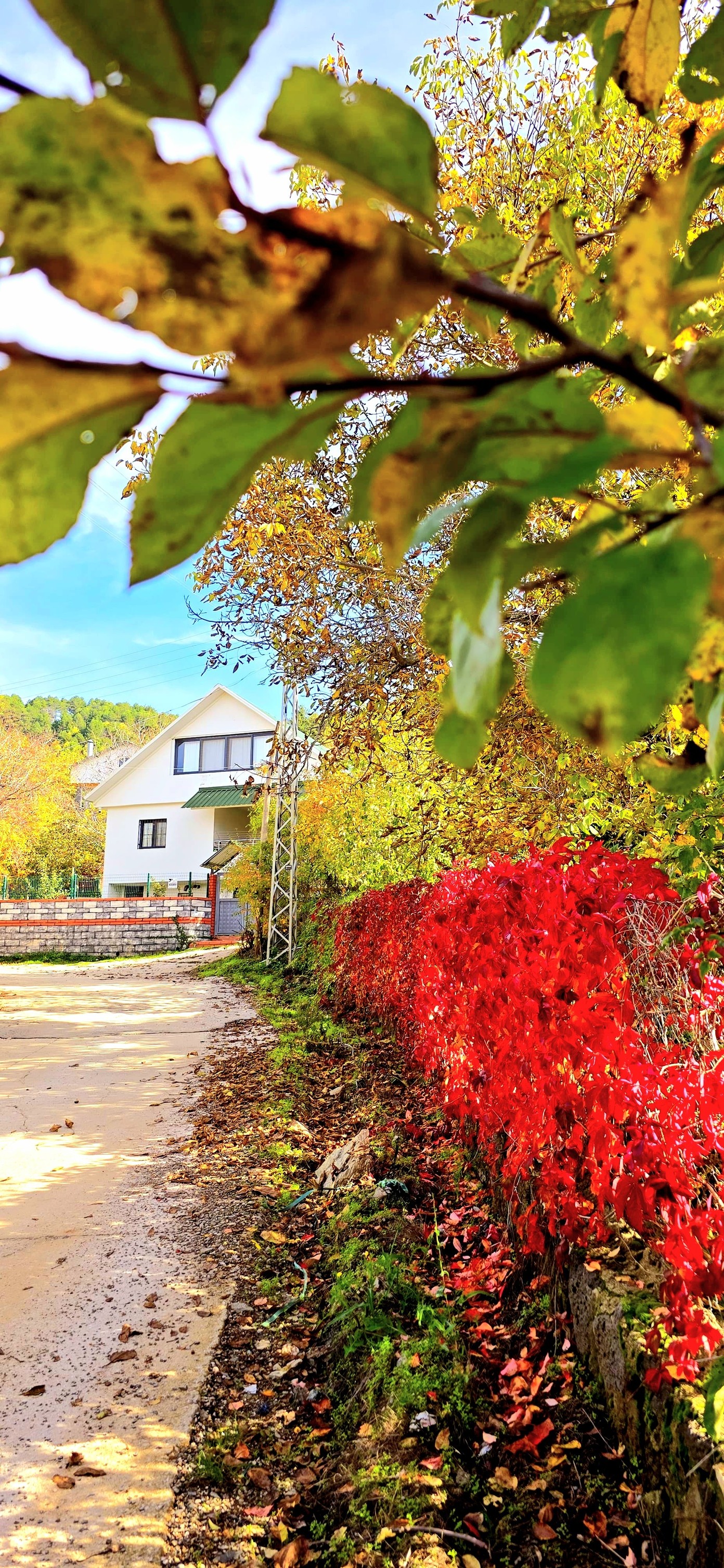 Osmaniye Dervişpınarı Yaylası Doğa Tutkunlarını Bekliyor4