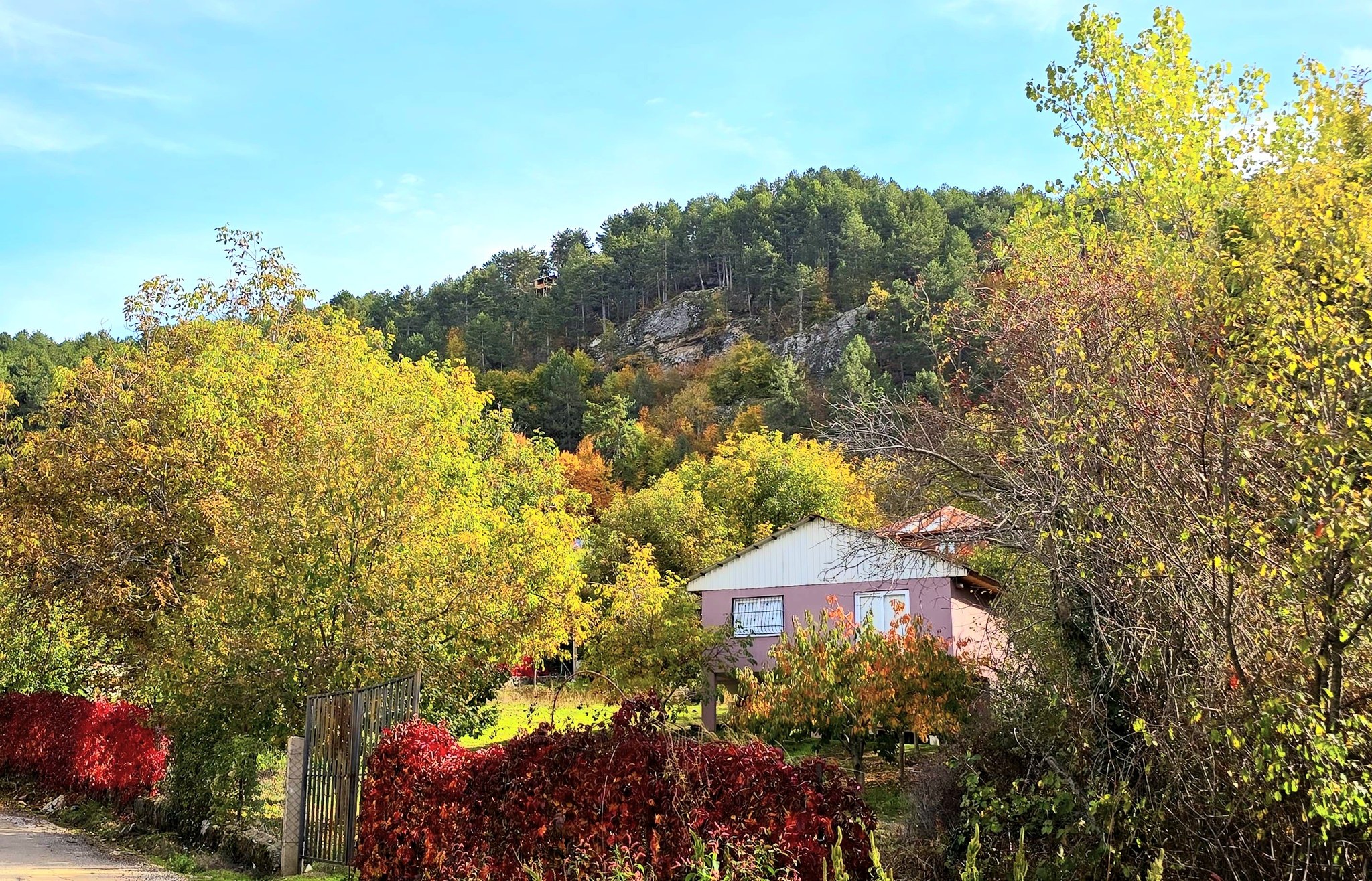 Osmaniye Dervişpınarı Yaylası Doğa Tutkunlarını Bekliyor5