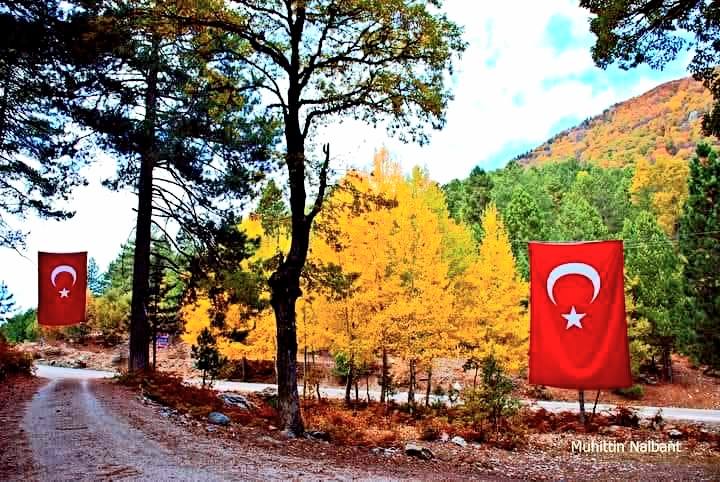 Osmaniye Küllü Köyü Sonbaharda Renk Cümbüşü Yaşadı2