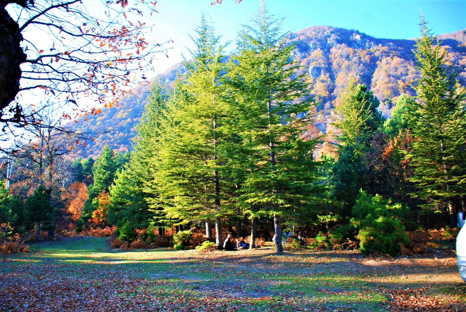 Osmaniye Küllü Köyü Sonbaharda Renk Cümbüşü Yaşadı3