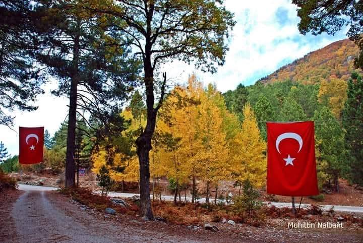 Osmaniye Küllü Köyü Sonbaharda Renk Cümbüşü Yaşadı6