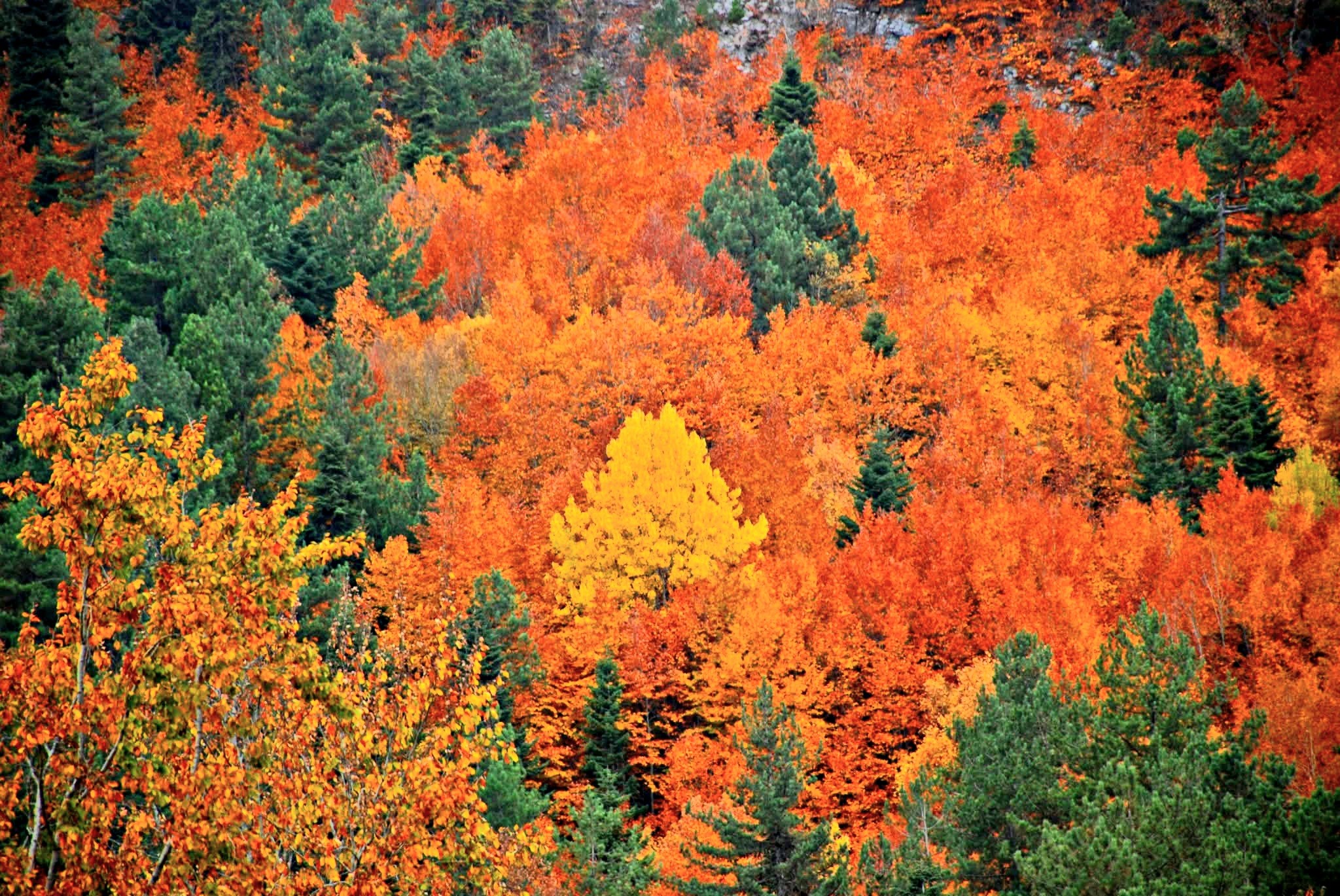 Osmaniye Küllü Köyü Ve Hinzırlı Yaylası Doğası Keşfediliyor2