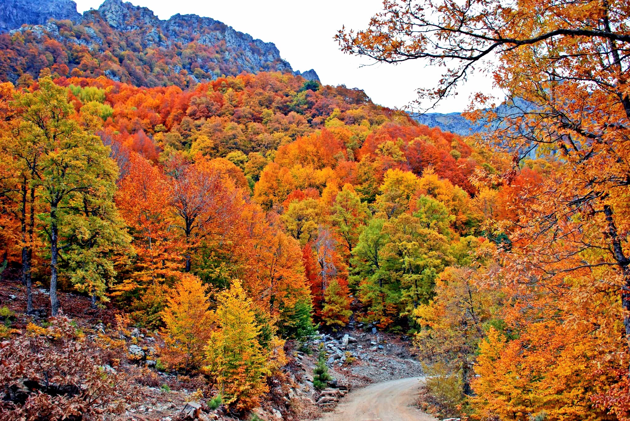 Osmaniye Küllü Köyü Ve Hinzırlı Yaylası Doğası Keşfediliyor3