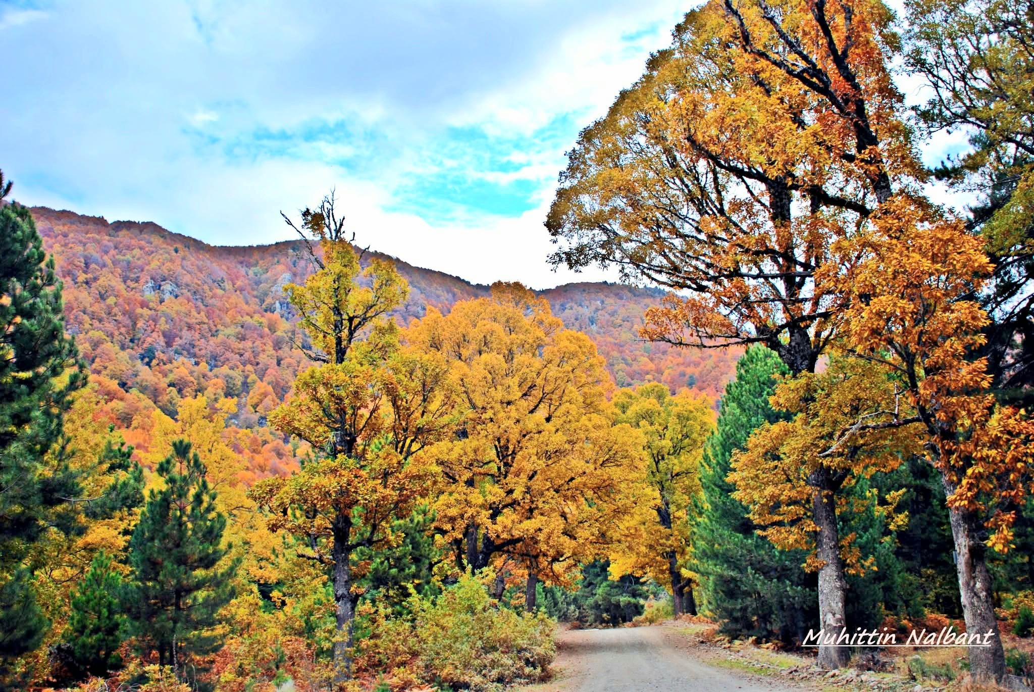 Osmaniye Küllü Köyü Ve Hinzırlı Yaylası Doğası Keşfediliyor5
