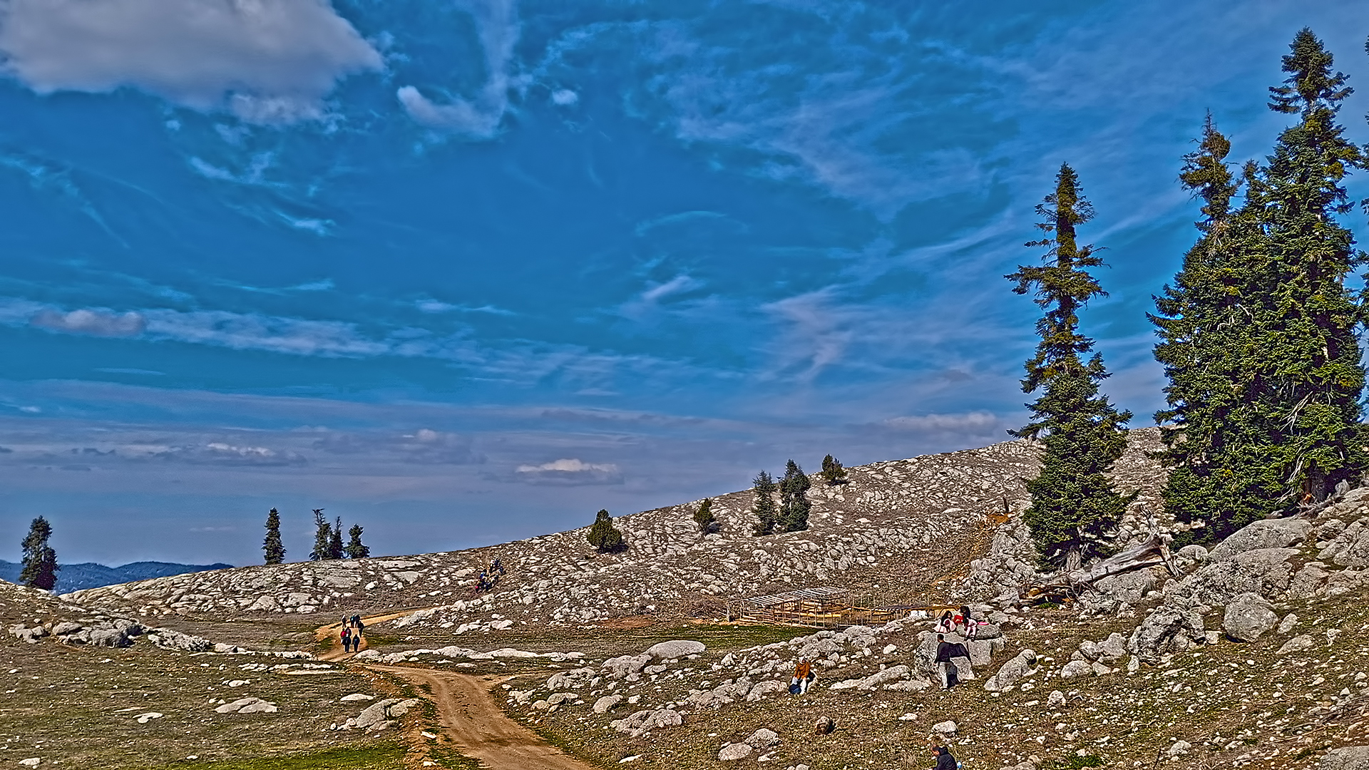 Osmaniye Sumbas’ın Saklı Cenneti Toklu Yaylası Doğa Tutkunlarını Bekliyor (12)