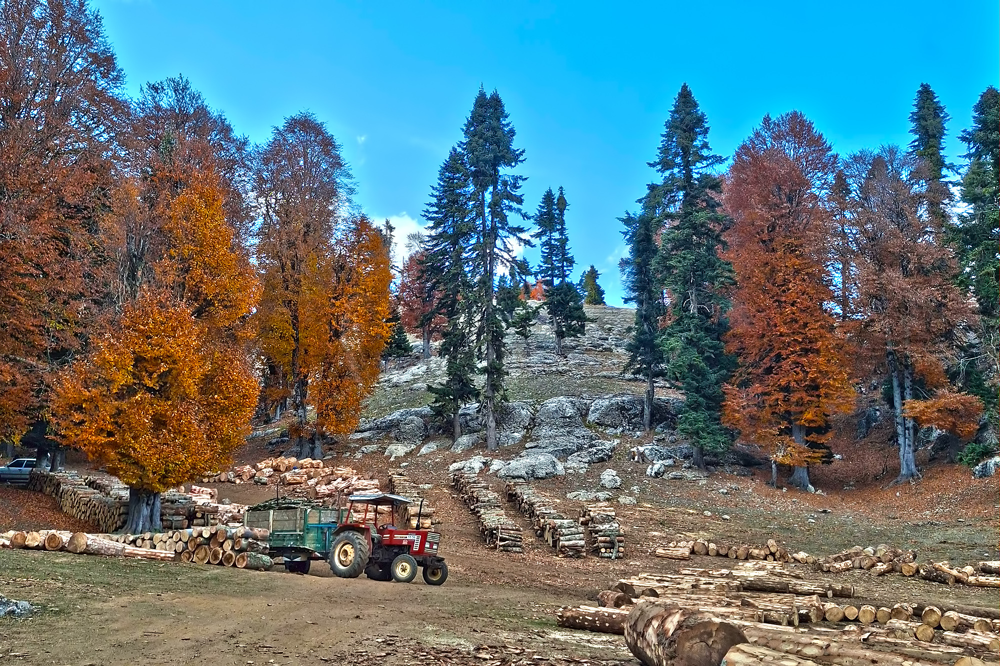 Osmaniye Sumbas’ın Saklı Cenneti Toklu Yaylası Doğa Tutkunlarını Bekliyor (13)