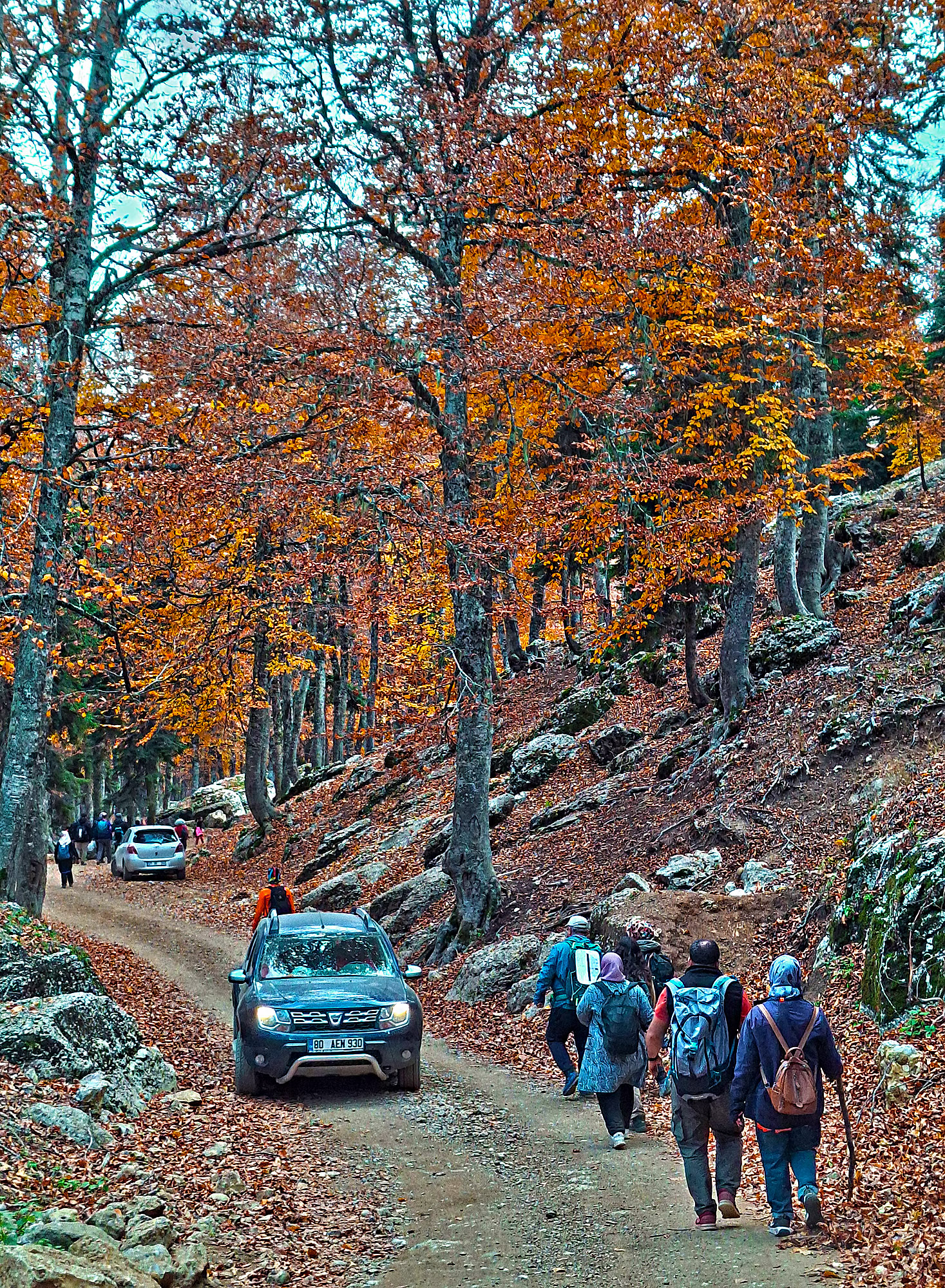 Osmaniye Sumbas’ın Saklı Cenneti Toklu Yaylası Doğa Tutkunlarını Bekliyor (4)