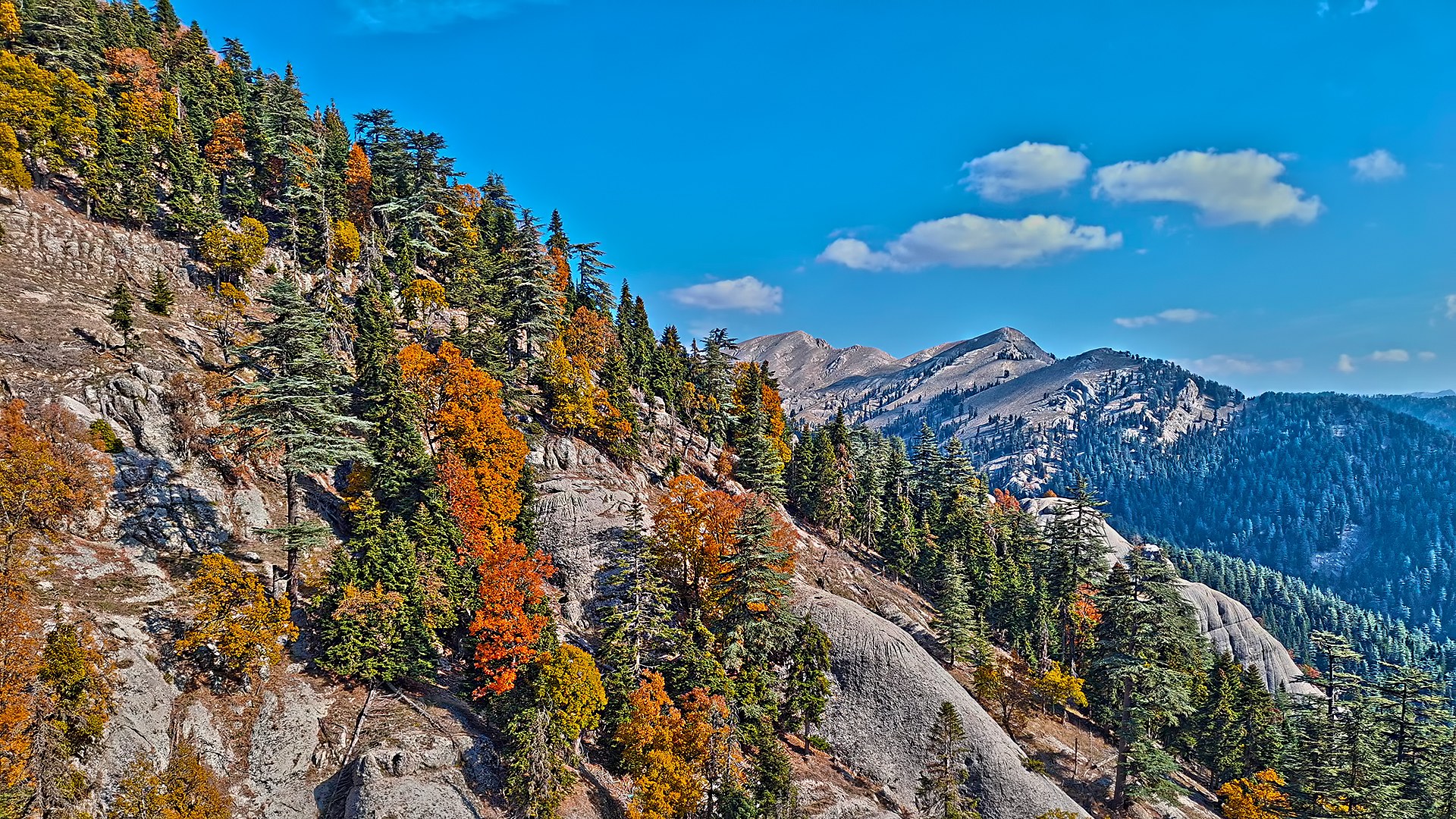 Osmaniye Sumbas’ın Saklı Cenneti Toklu Yaylası Doğa Tutkunlarını Bekliyor (6)