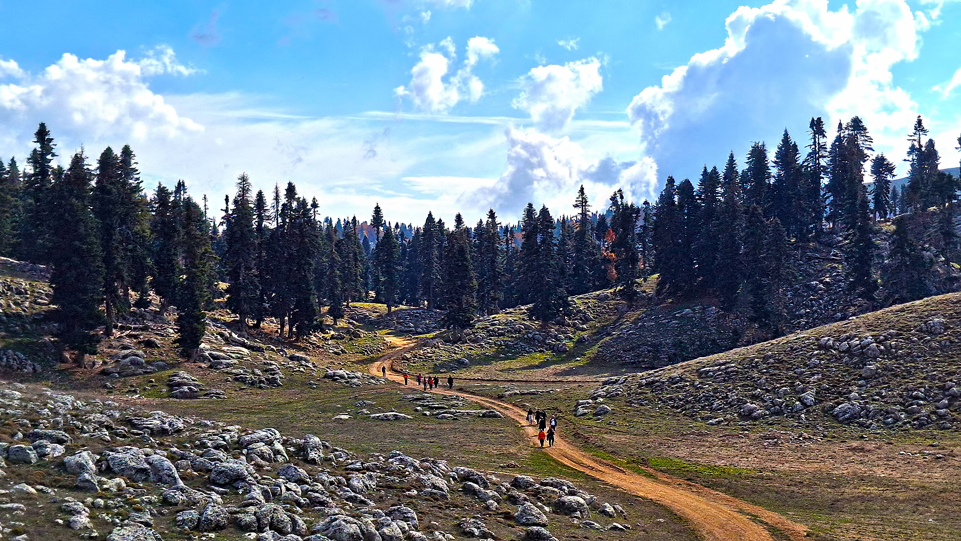 Osmaniye Sumbas’ın Saklı Cenneti Toklu Yaylası Doğa Tutkunlarını Bekliyor (7)
