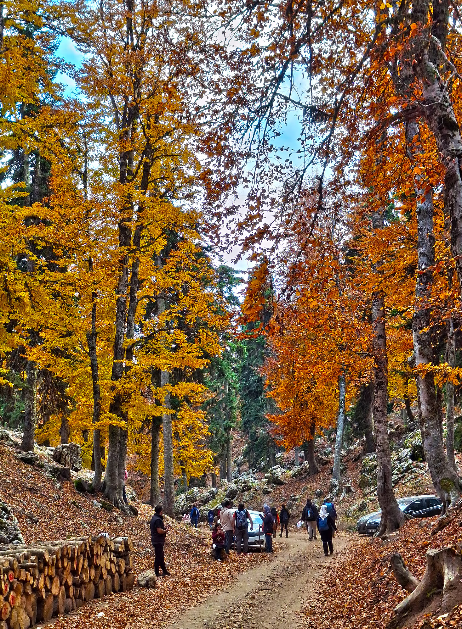 Osmaniye Sumbas’ın Saklı Cenneti Toklu Yaylası Doğa Tutkunlarını Bekliyor (8)
