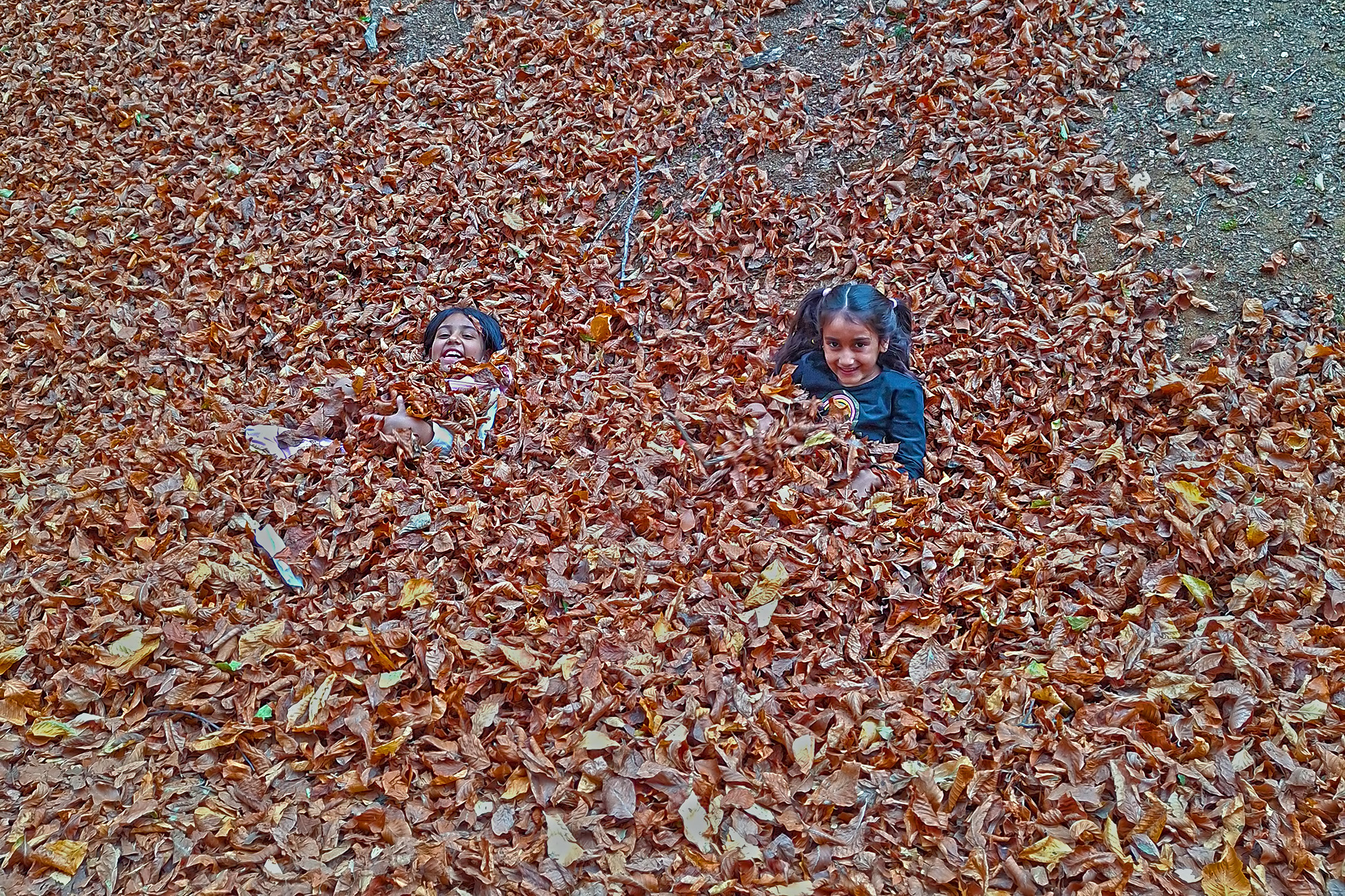 Osmaniye Sumbas’ın Saklı Cenneti Toklu Yaylası Doğa Tutkunlarını Bekliyor (9)