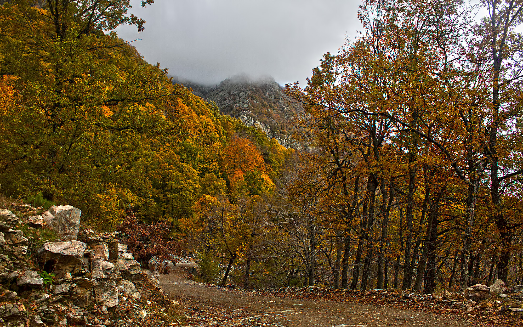 Osmaniye’de Amanoslar Sonbaharda Kartpostallık Oldu2