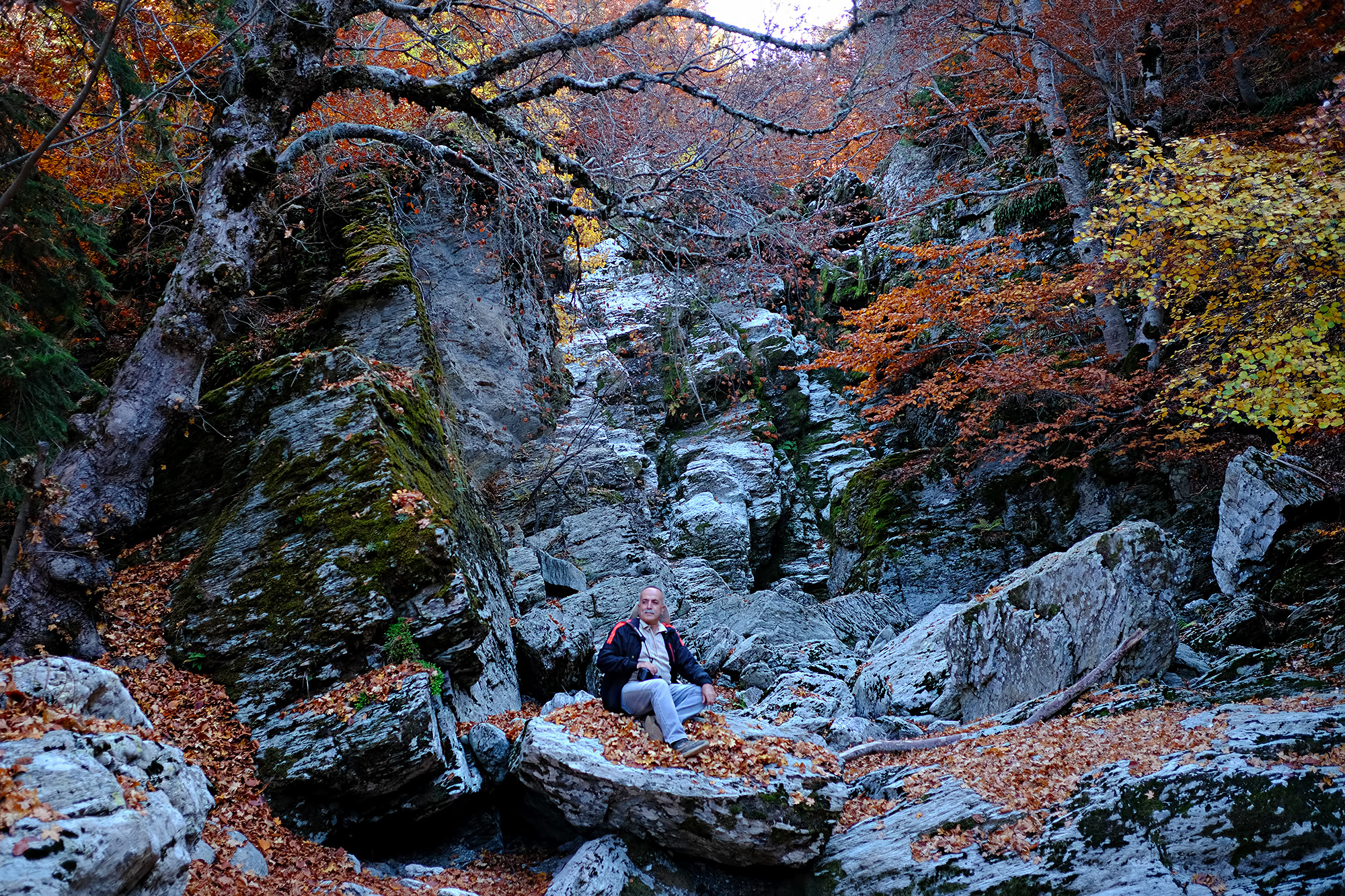 Osmaniye’de Amanoslar Sonbaharda Kartpostallık Oldu3