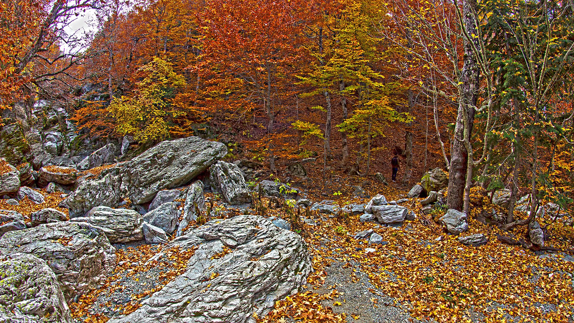 Osmaniye’de Amanoslar Sonbaharda Kartpostallık Oldu5