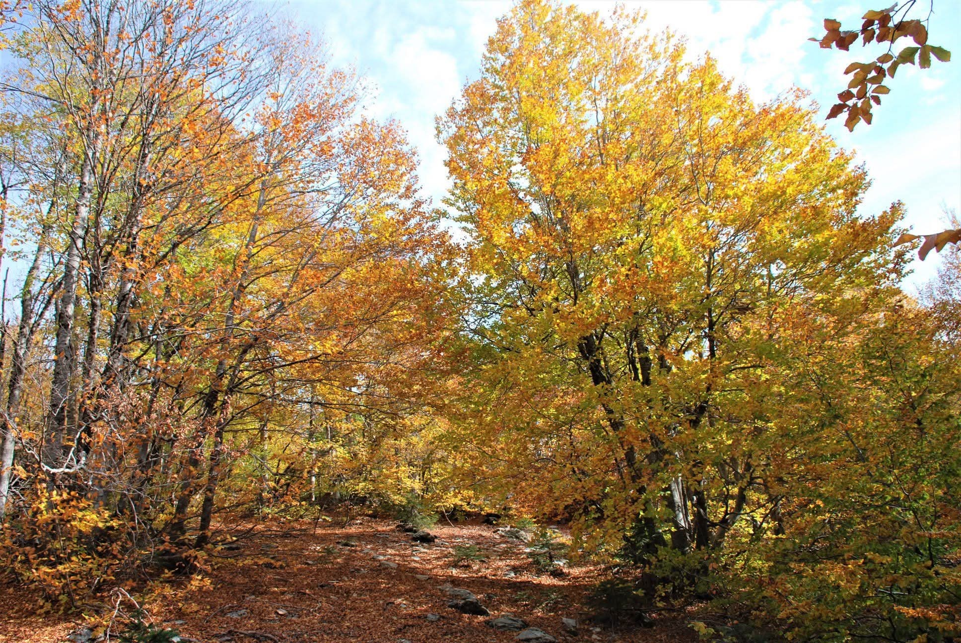 Osmaniye’de Koyunmeleden Doğa Yürüyüşü Keyfi2