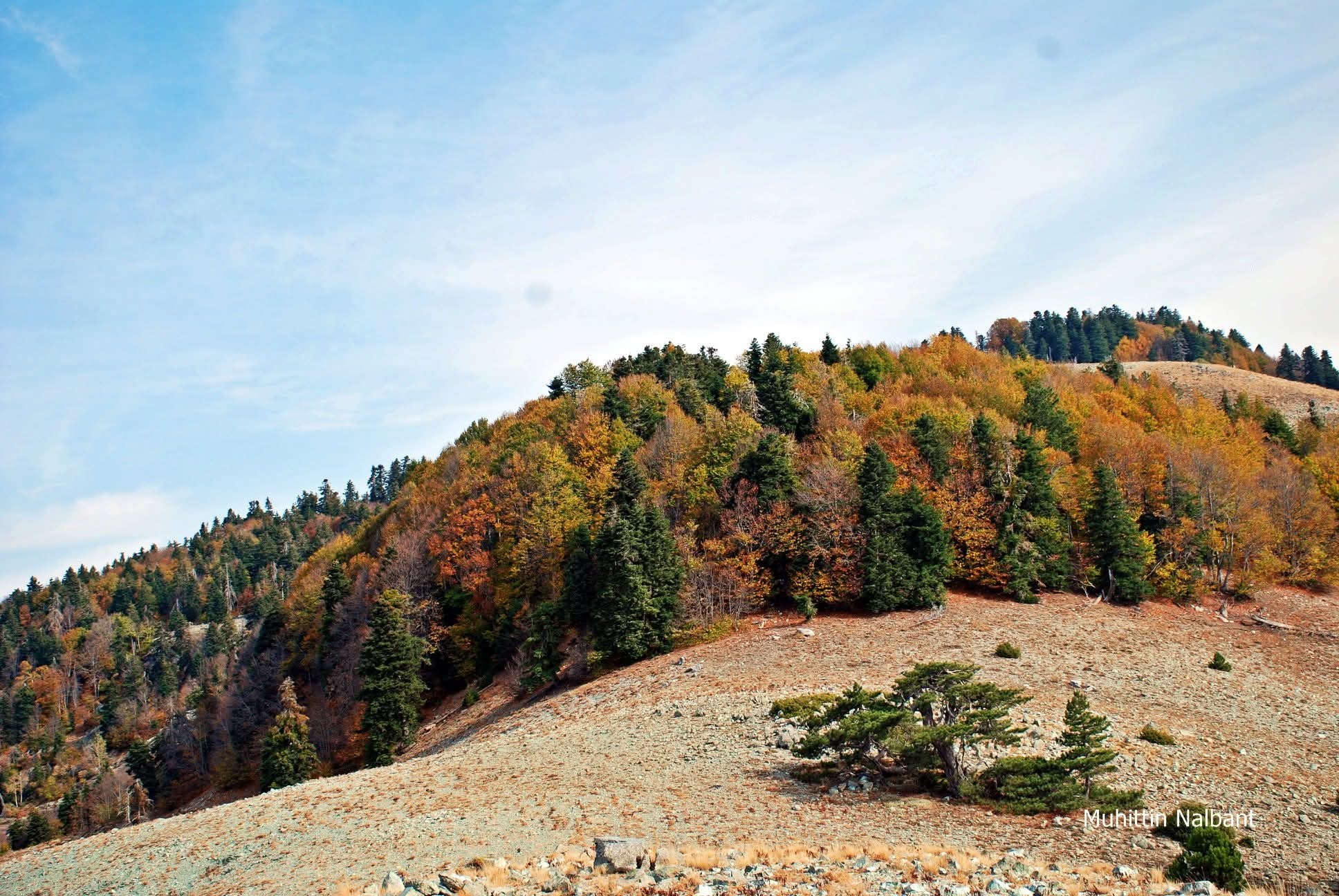 Osmaniye’de Koyunmeleden Doğa Yürüyüşü Keyfi5