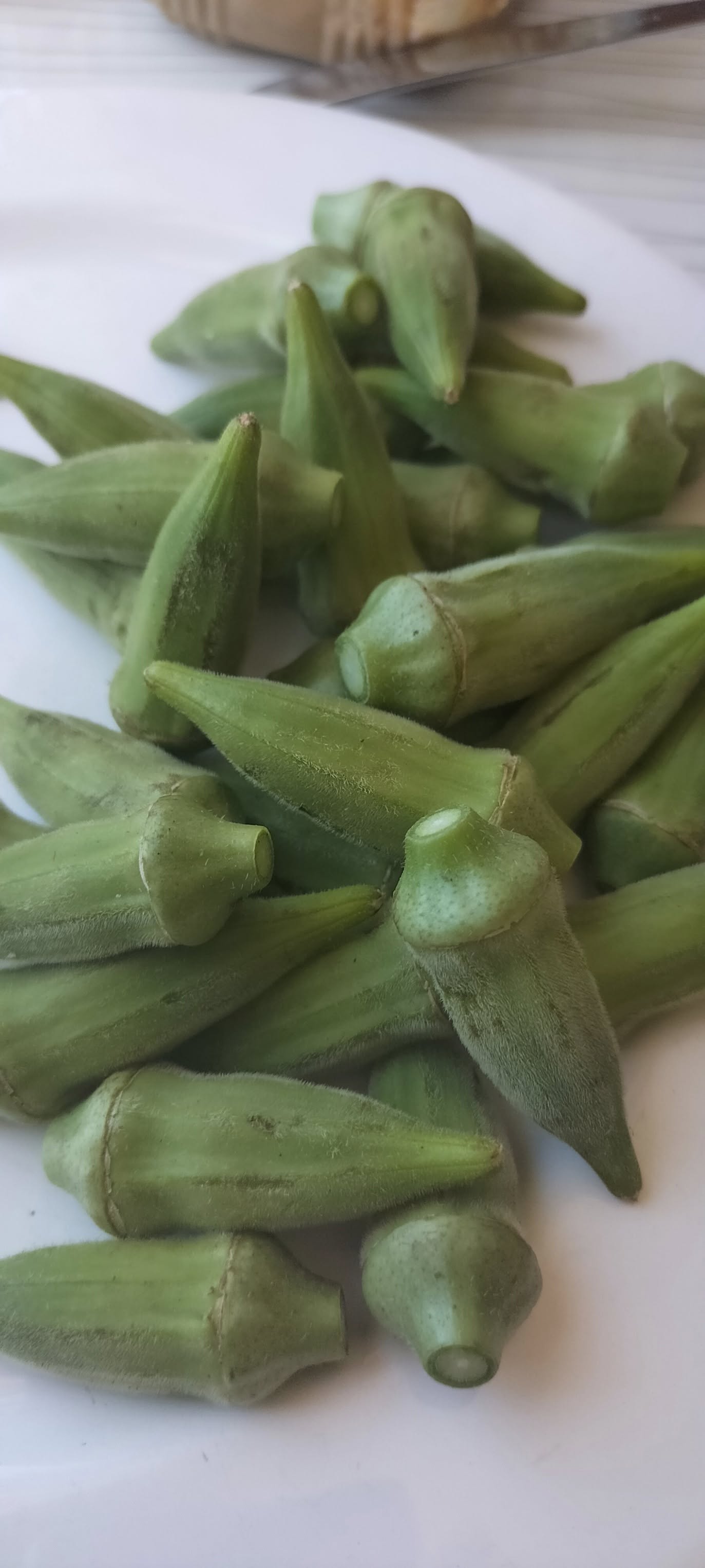 Osmaniye’de Kümbet Bamya Sulamasında Doğru Zaman Kritik (11)