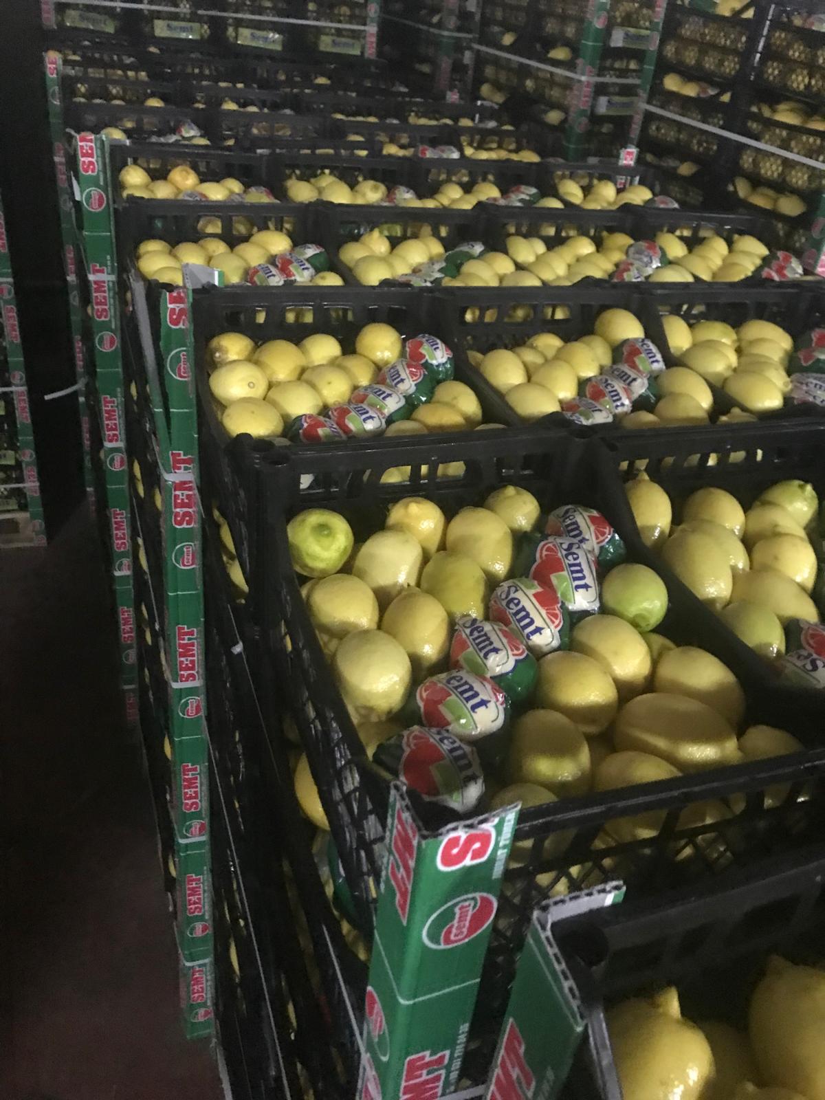 Osmaniye’de Meyve Ve Sebze İhracatında Karantina Denetimleri Sıkı Tutuluyor (1)