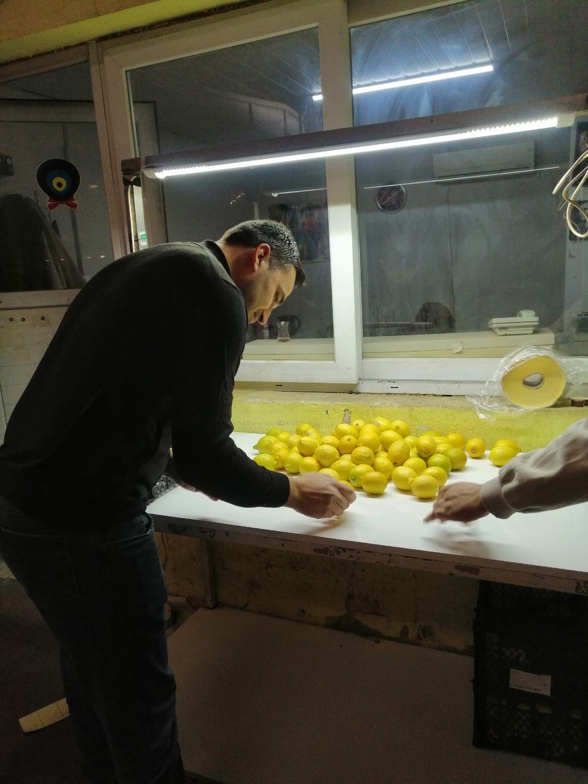 Osmaniye’de Meyve Ve Sebze İhracatında Karantina Denetimleri Sıkı Tutuluyor (2)