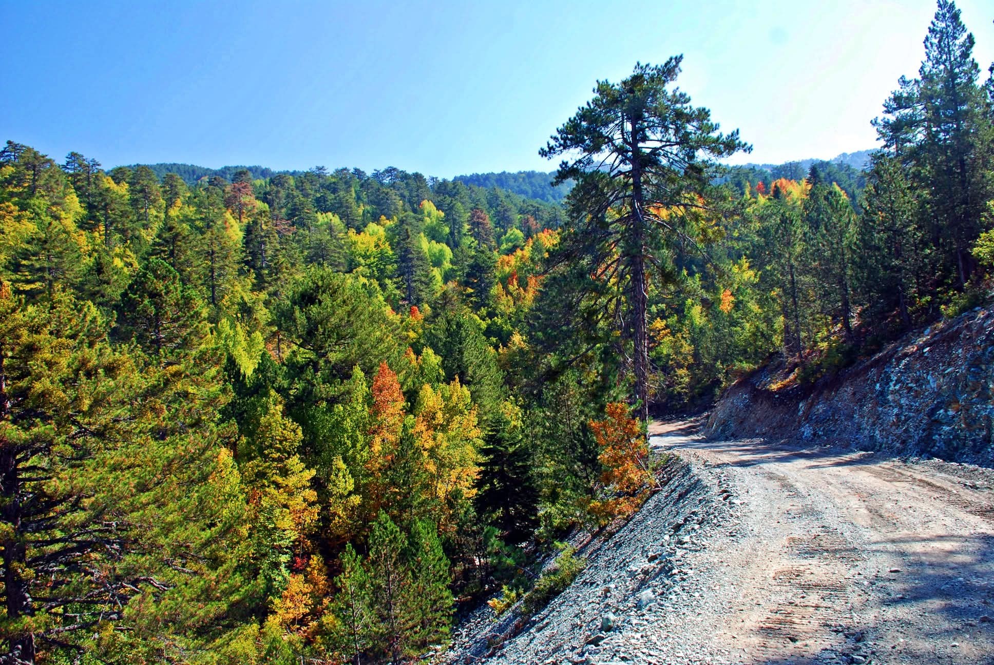 Osmaniye’de Sonbahar Altın Renkli Yolculuk (10)