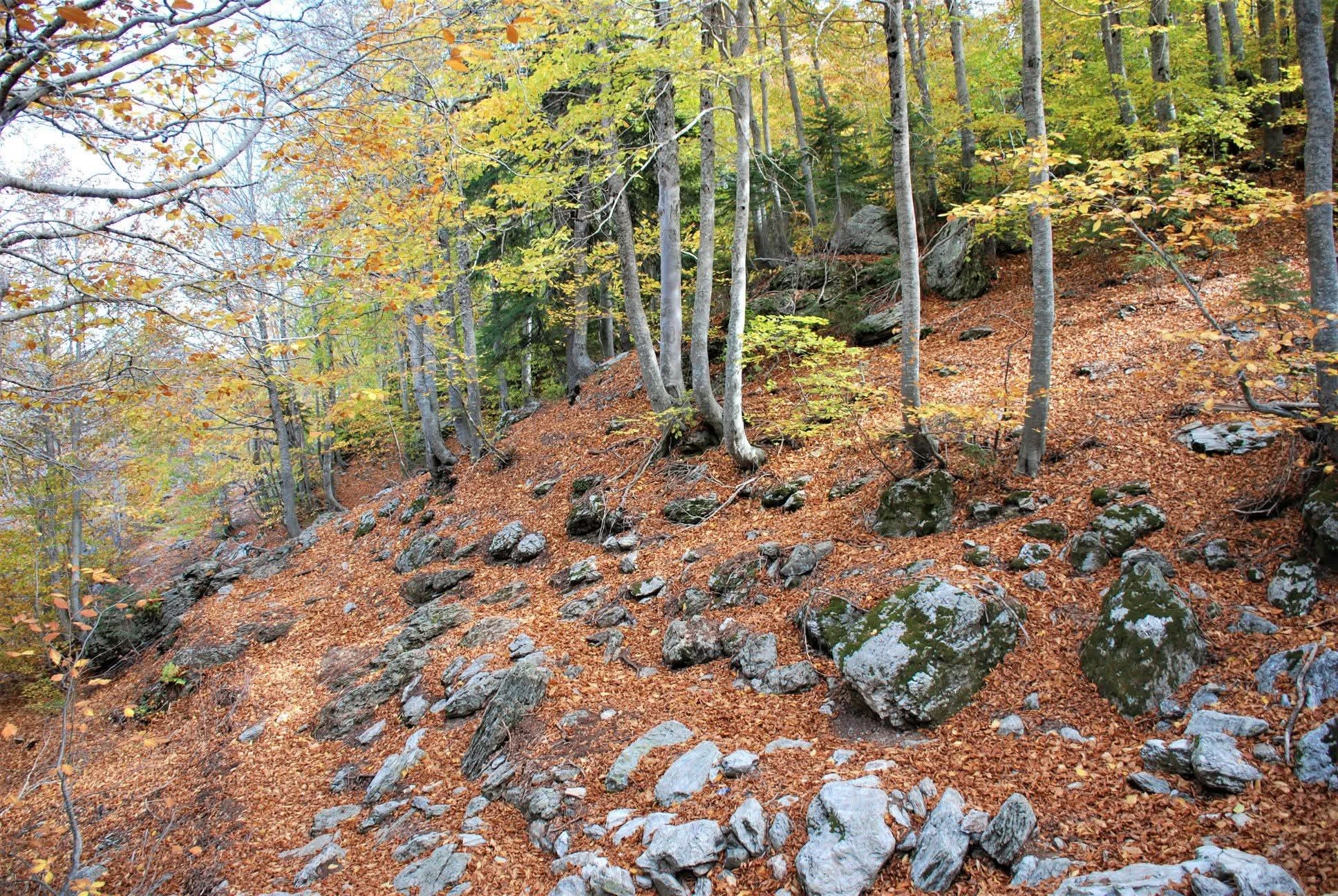 Osmaniye’de Sonbahar Altın Renkli Yolculuk (3)