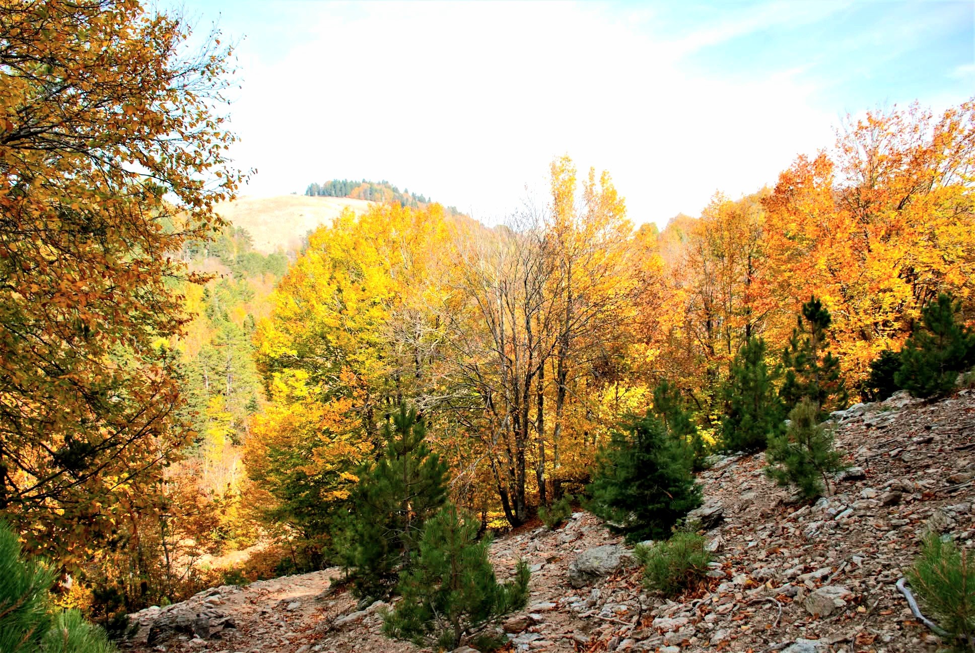 Osmaniye’de Sonbahar Altın Renkli Yolculuk (7)