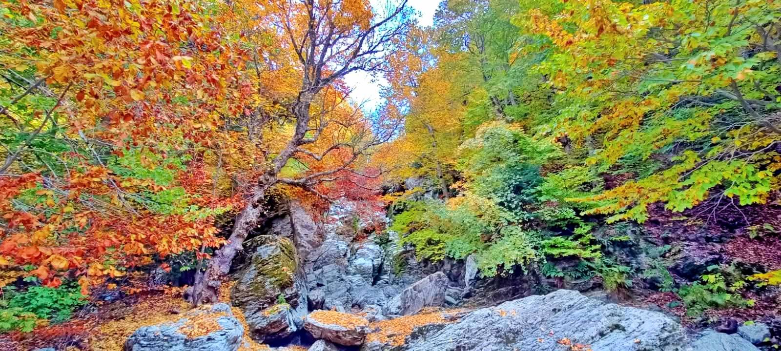 Osmaniye’de Sonbahar Altın Renkli Yolculuk (9)