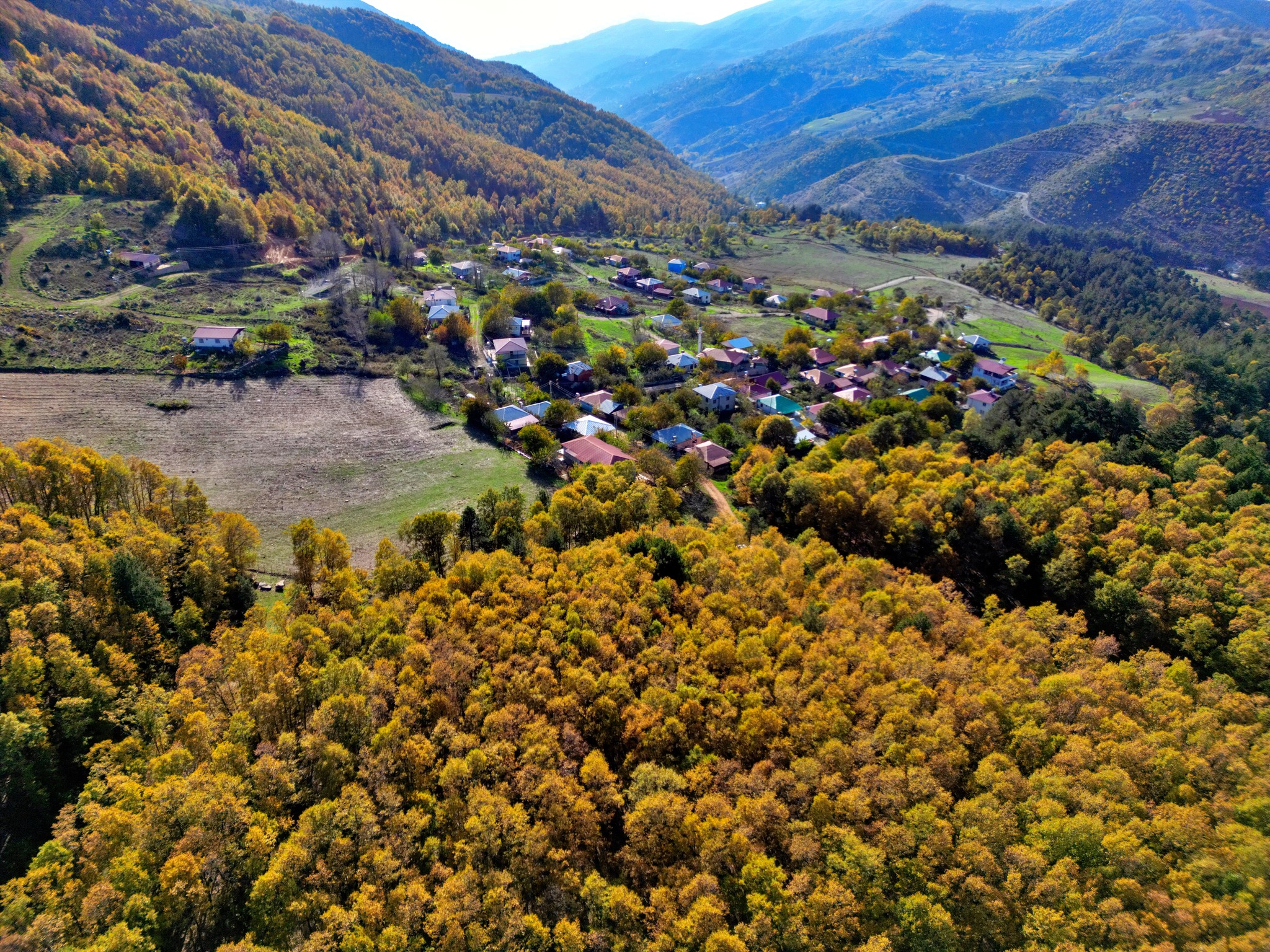 Osmaniye’de Sonbahar Dişbudak Yaylası Büyüleyici Görünüyor2