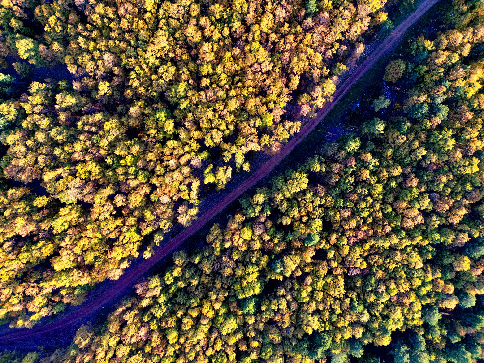 Osmaniye’de Sonbahar Dişbudak Yaylası Büyüleyici Görünüyor4