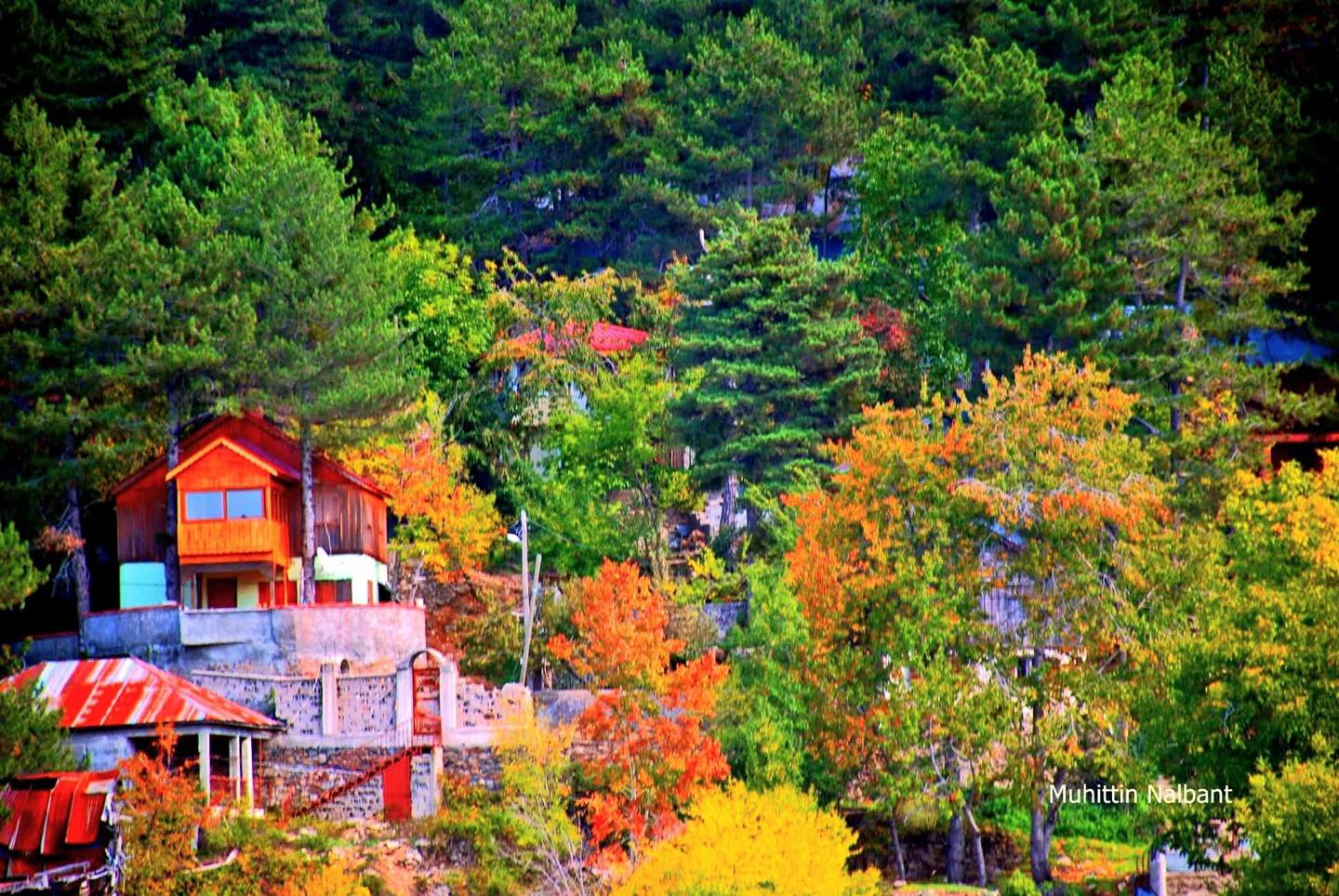 Osmaniye’de Sonbaharın Büyüsü Zorkun Yaylası3