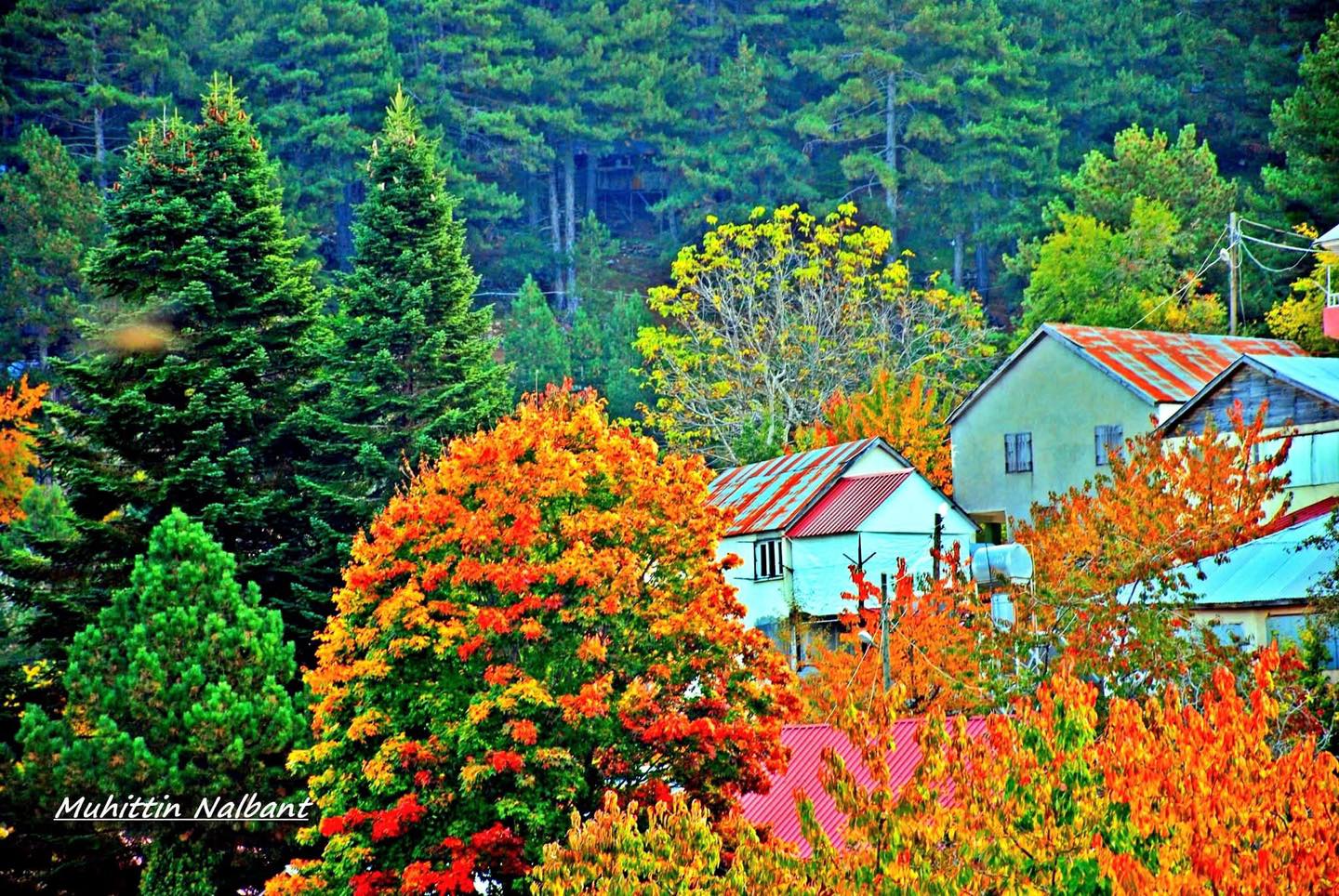 Osmaniye’de Sonbaharın Büyüsü Zorkun Yaylası4