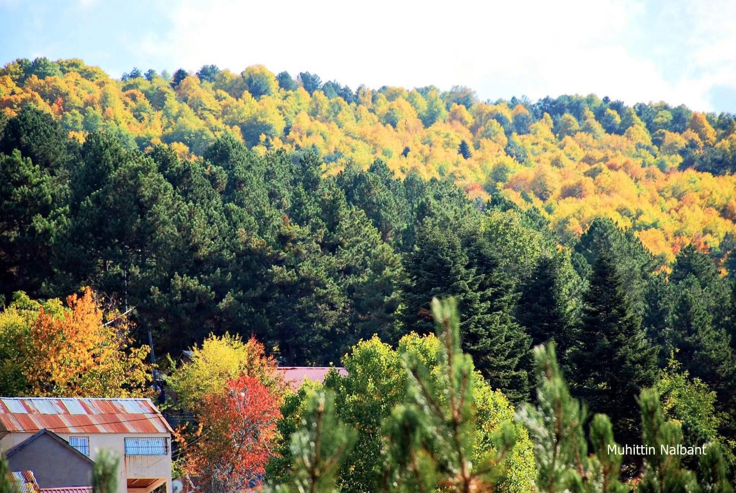 Osmaniye’de Sonbaharın Büyüsü Zorkun Yaylası5