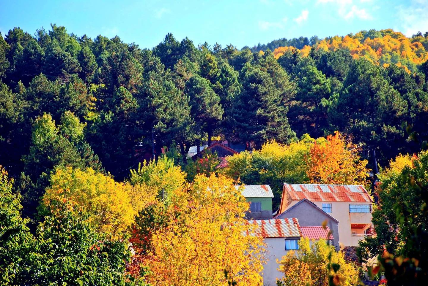 Osmaniye’de Sonbaharın Büyüsü Zorkun Yaylası6