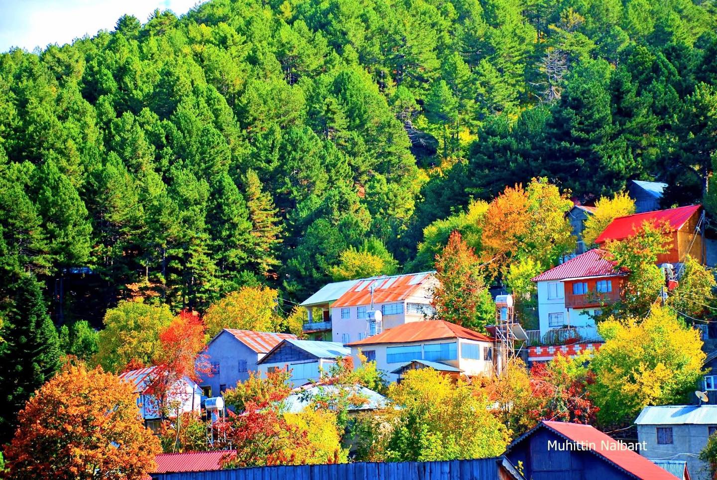 Osmaniye’de Sonbaharın Büyüsü Zorkun Yaylası7