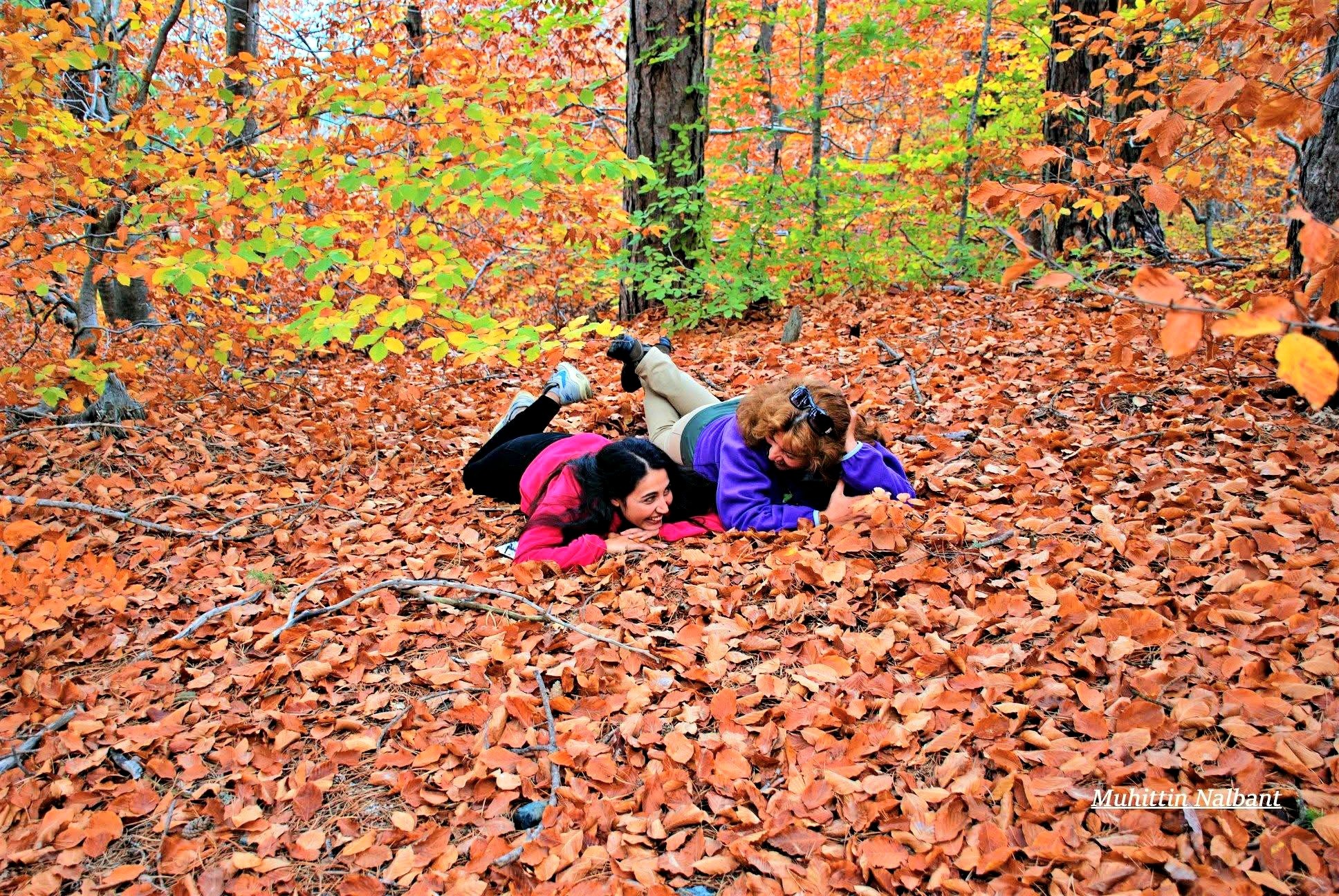 Osmaniye’de Zorkun Yaylası Keldaz Güzellikleriyle Büyülüyor1