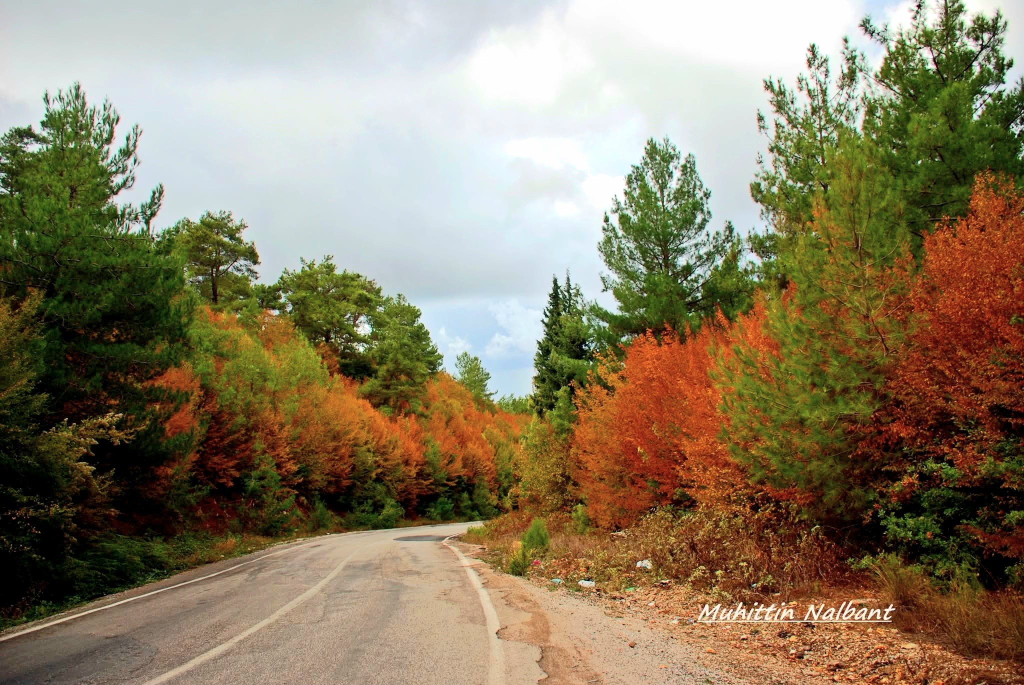 Osmaniye’de Zorkun Yolu Ve Allah Allah Deresi Yenileniyor2