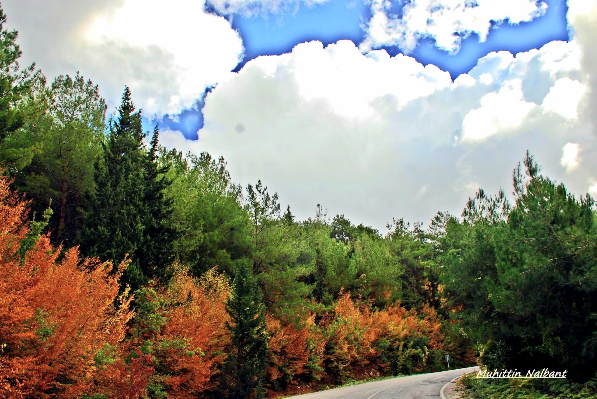 Osmaniye’de Zorkun Yolu Ve Allah Allah Deresi Yenileniyor3